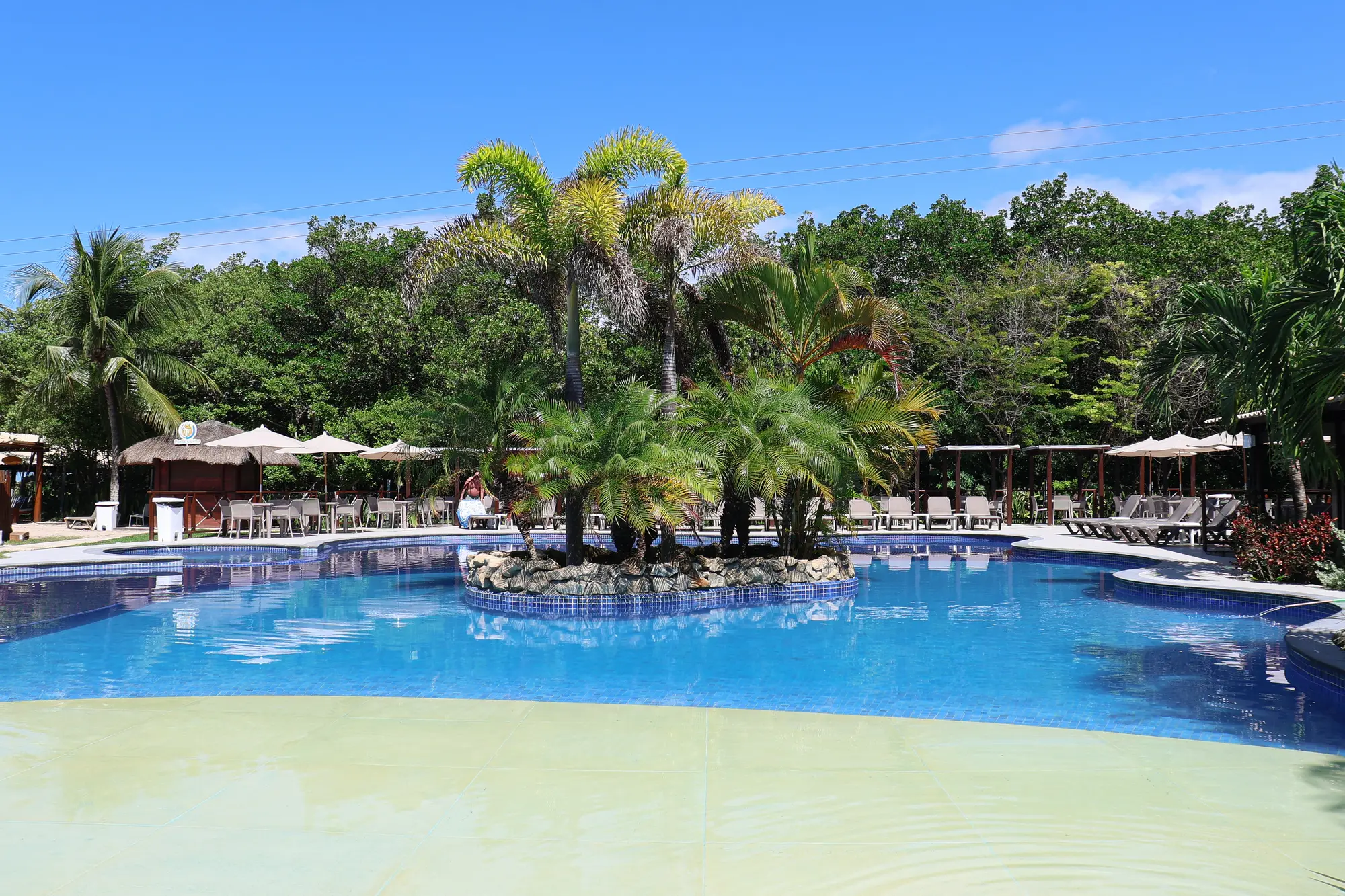 Piscina con isla de palmeras en Pontal do Maragogi
