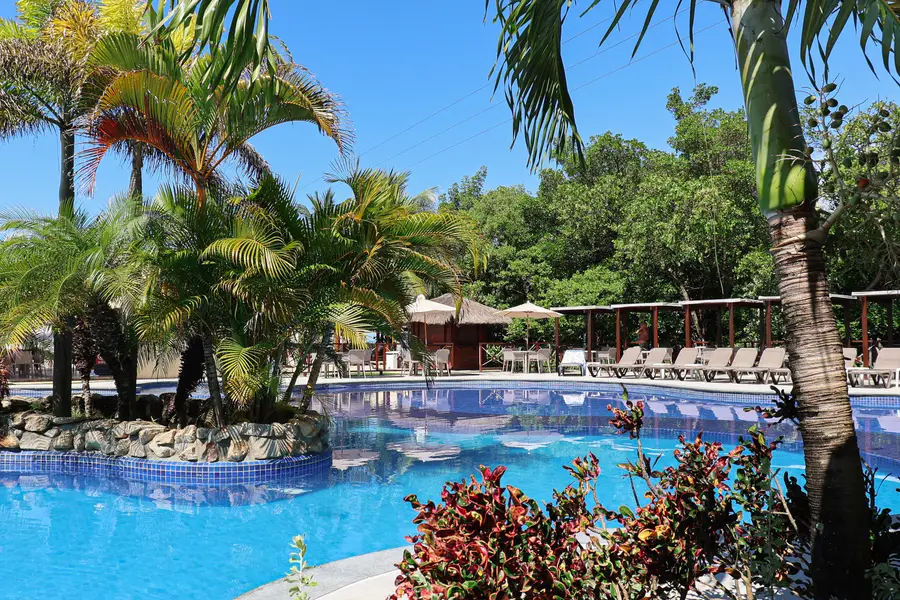 Piscina entre plantas tropicales