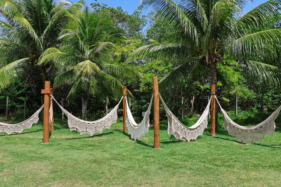 Zona de hamacas entre cocoteros